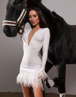 Dress Feathers White